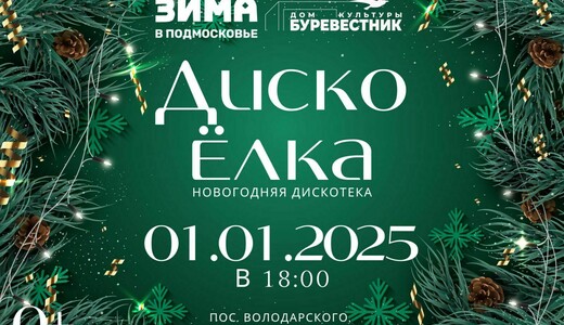 Новогодняя дискотека «Диско Елка»