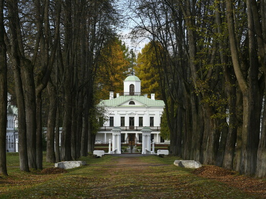 Химки за один день: что посмотреть и куда сходить с детьми