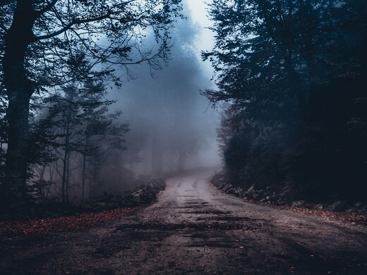 Mysterious, mystical and anomalous places of the Moscow region, about which they tell scary stories