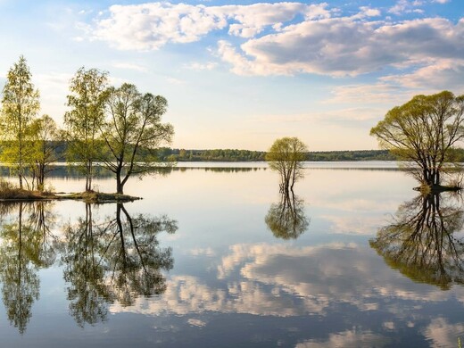 «Эко-тур в подмосковную Швейцарию»: дегустация сыра, верховая езда и визит на оленью ферму