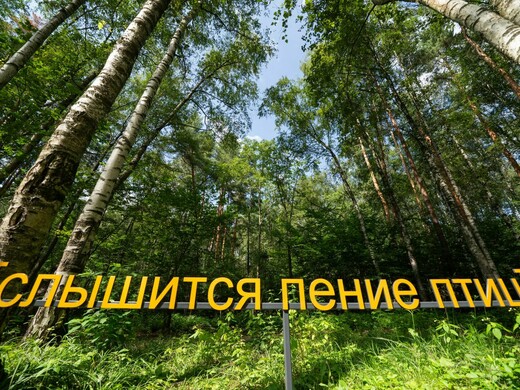 Глоток свежего воздуха: гид по лучшим местам Подмосковья для перезагрузки на природе