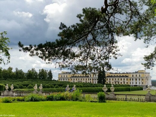 Живописные парки подмосковных усадеб готовы встречать гостей 