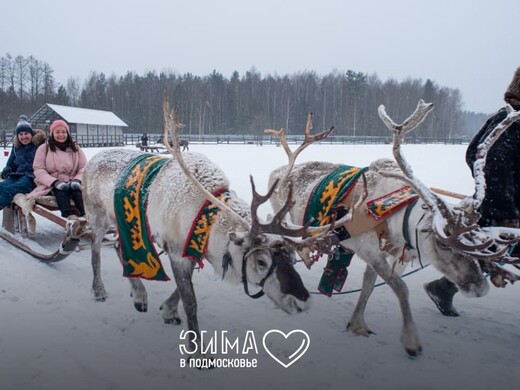 Куда поехать в Подмосковье на выходные: космическая столица России, музей десерта и оленья ферма