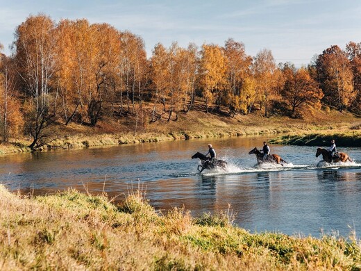 Куда поехать на ноябрьские праздники 2022 в Подмосковье — 15 идей