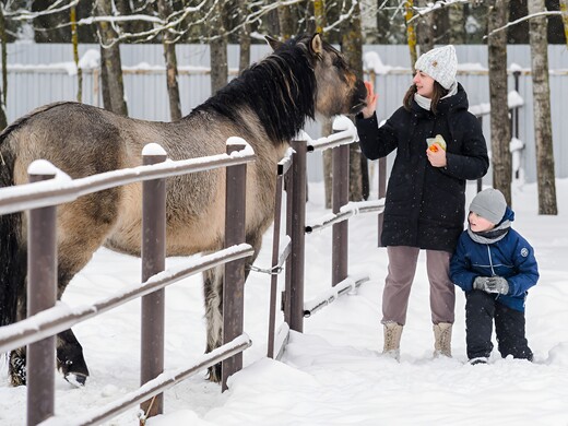 Достопримечательности Орехово-Зуевского округа: что посмотреть и куда сходить с детьми