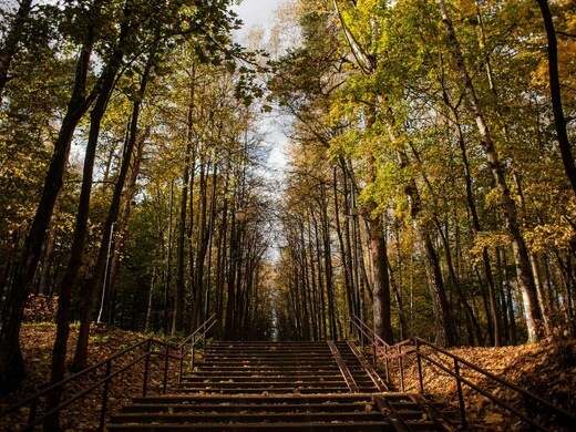 Люберцы за один день: уникальные музейные экспонаты, уютные парки и развлечения для детей