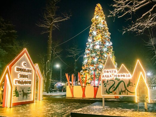 «Дед Мороз рекомендует»: новогодний гид по паркам Подмосковья
