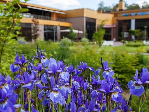 Топ-30 подмосковных отелей для поездки на майские праздники: отдых на природе, спа и барбекю