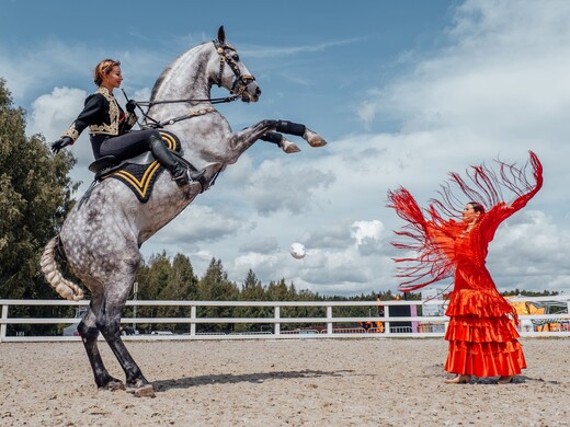 Как пройдет конный фестиваль «Иваново Поле» в 2024 году: развлечения для всей семьи и более 100 шоу