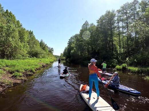 Где покататься на сапах в Подмосковье: самые красивые виды и уникальные маршруты