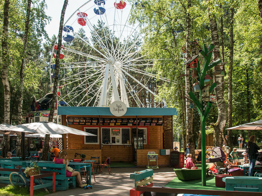 Скидки для пенсионеров в Домодедове: краеведческий музей, отели и спортивные объекты