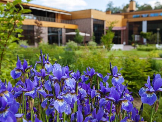 Топ-30 подмосковных отелей для поездки на майские праздники: отдых на природе, спа и барбекю