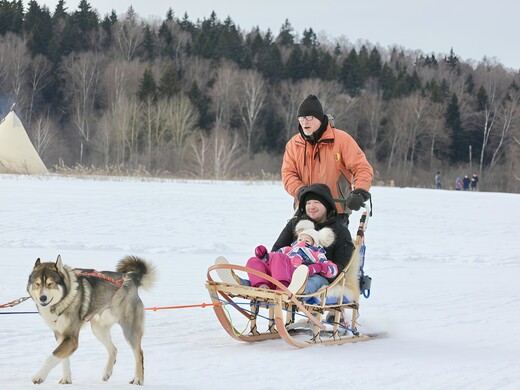 Новогодние каникулы с детьми в Подмосковье: экскурсии, мастер-классы и катание на собачьей упряжке