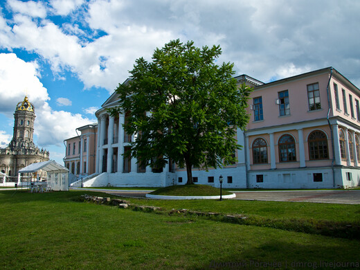 #ЛюбимоеПодмосковье.   Куда отправиться на прогулку всей семьей?