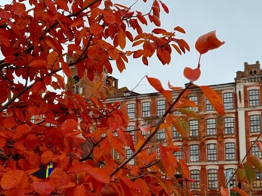 Достопримечательности Наро-Фоминска: старинные церкви, краеведческие музеи и живописная природа