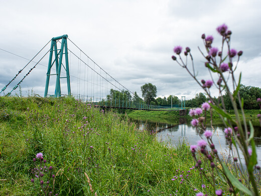 Подвесные мосты Подмосковья, где можно устроить фотосессию, загадать желание и полюбоваться закатом