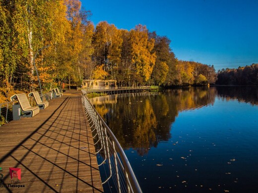 Осень в Подмосковье: самые красивые места для прогулок 