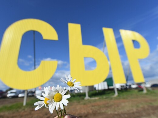 Ярмарка фермерских продуктов, дегустация и конкурсы: что ждет гостей фестиваля «Сыр. Пир. Мир»