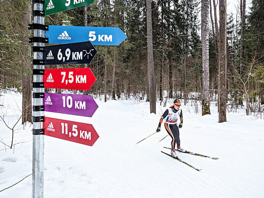 Лучшие трассы Подмосковья – 2025: где покататься на беговых лыжах