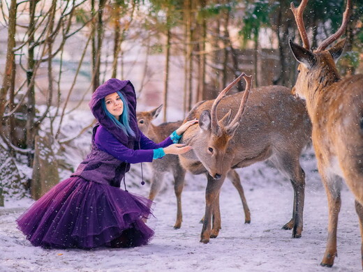 Топ-5 ферм в Подмосковье, где можно увидеть северных оленей 