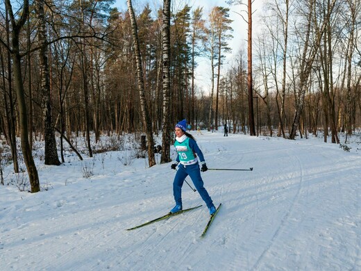 Лучшие трассы Подмосковья – 2026: где покататься на беговых лыжах
