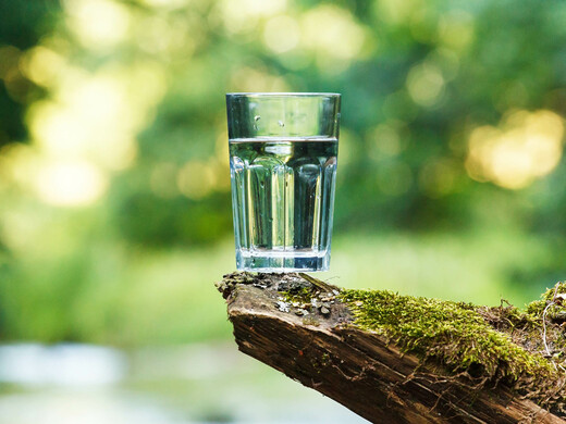 Родники и источники Подмосковья с самой чистой водой