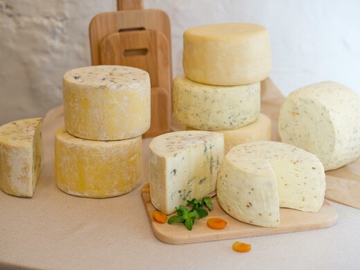 Сырные каникулы в Подмосковье