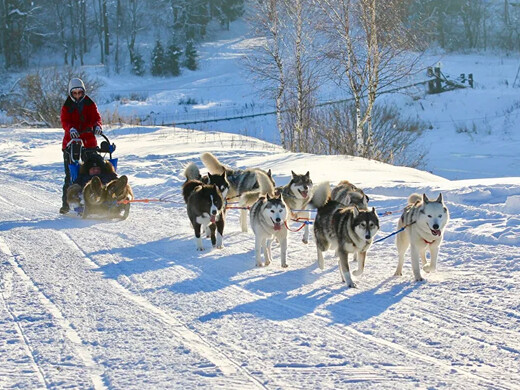 Топ маршрутов для зимнего уикенда в Подмосковье