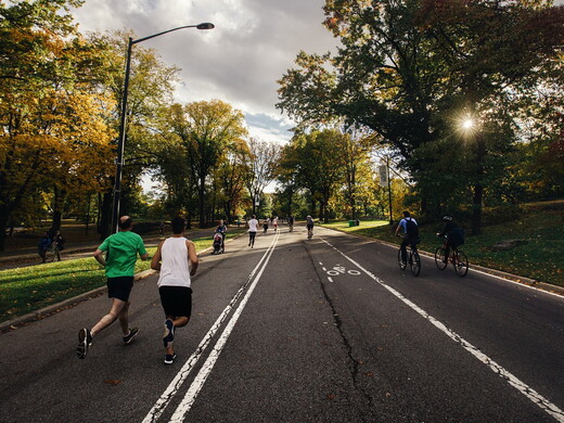 Куда отправиться на пробежку в Подмосковье: 8 вариантов