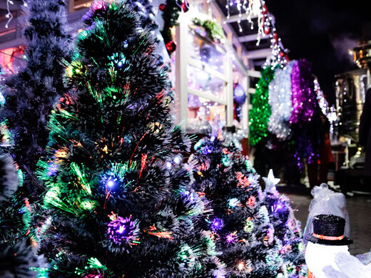 «Зима в Подмосковье» 2021-2022: календарь событий