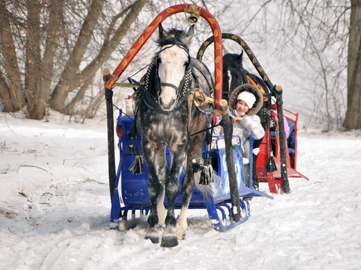 Масленица в Подмосковье: какие программы приготовили для гостей музеи области