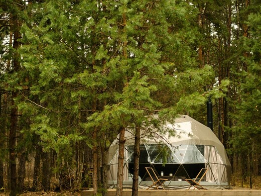 Идеальный летний отдых на природе: топ-10 глэмпингов Подмосковья