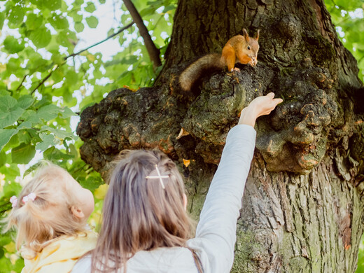 Экотропы Подмосковья: где погулять на свежем воздухе и полюбоваться природой