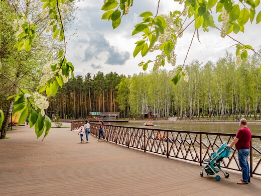 Чем заняться и что посмотреть в Домодедове: топ интересных мест