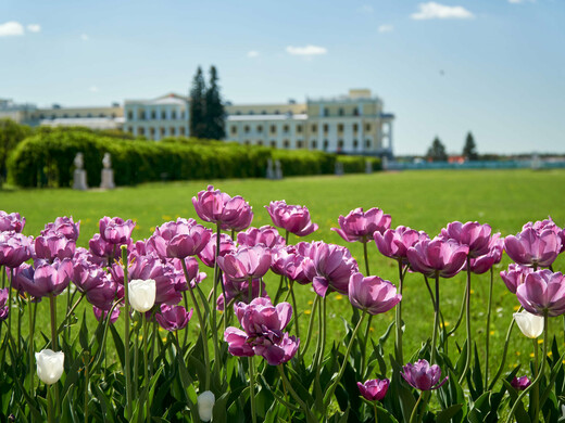 Летняя фотосессия: топ-8 мест в Подмосковье для красивых снимков
