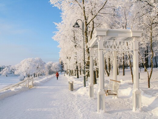 Топ парков Подмосковья для зимней прогулки