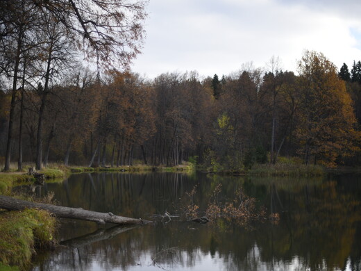 Чем заняться в плохую погоду в Подмосковье: 12 идей