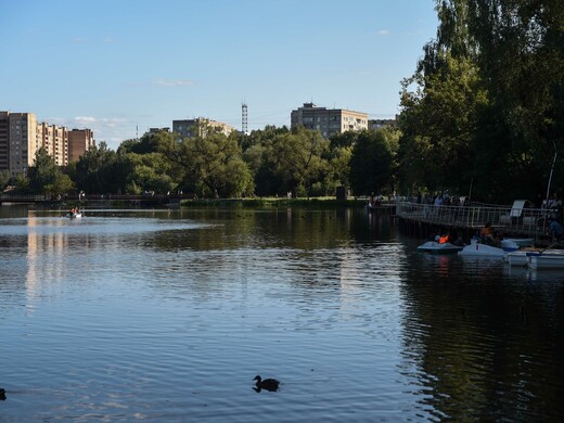 Картинная галерея и историко-краеведческий музей: куда сходить пенсионерам в Балашихе