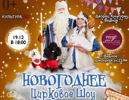 Новогоднее цирковое мыльное шоу в Видном