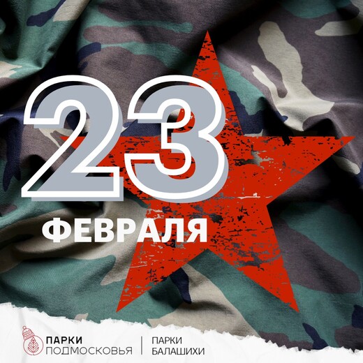 День защитника Отечества в парках Балашихи