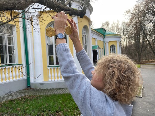 Экологическую акцию «Синичкин день» проведут в музее-заповеднике «Горки Ленинские» 