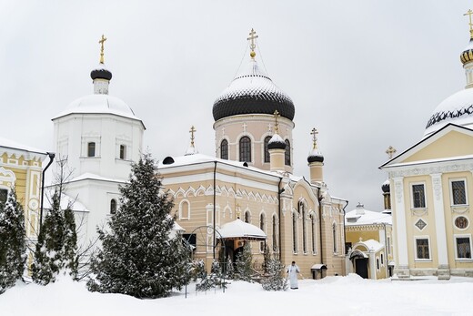 Вознесенская Давидова пустынь 