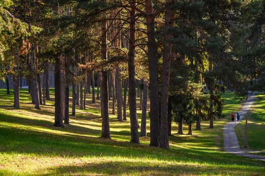 Парк культуры и отдыха г. Жуковского