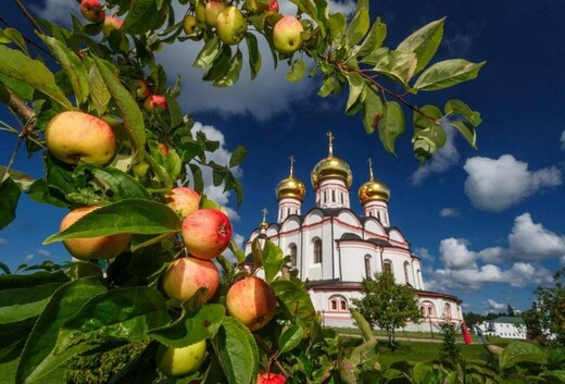 Свыше 80 мероприятий в честь Яблочного Спаса пройдут в Подмосковье 