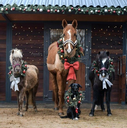 Конный клуб «Усадьба»