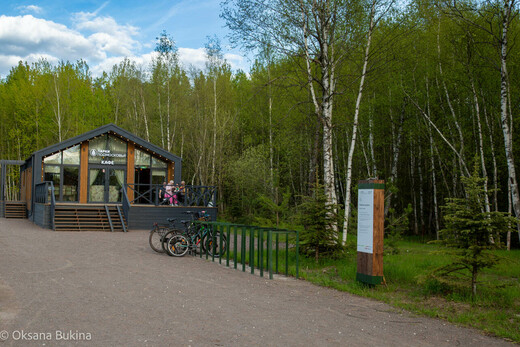 Лобненский лесопарк