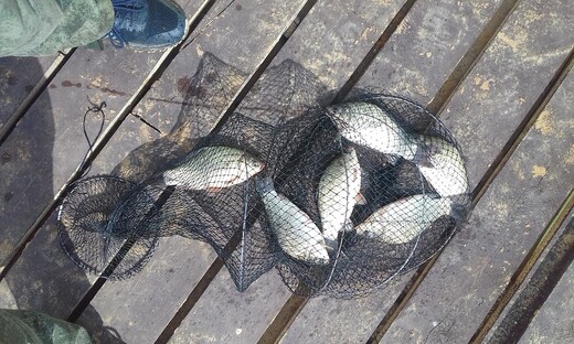 Рыбалка в Горчухине