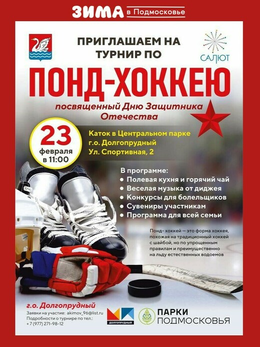 Турнир по понд-хоккею в Долгопрудном