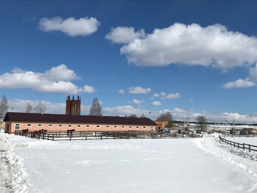Крестьянско-фермерское хозяйство «Ольгино» 