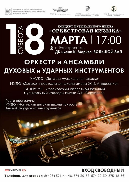 Концерт цикла «Оркестровая музыка» в Электростали